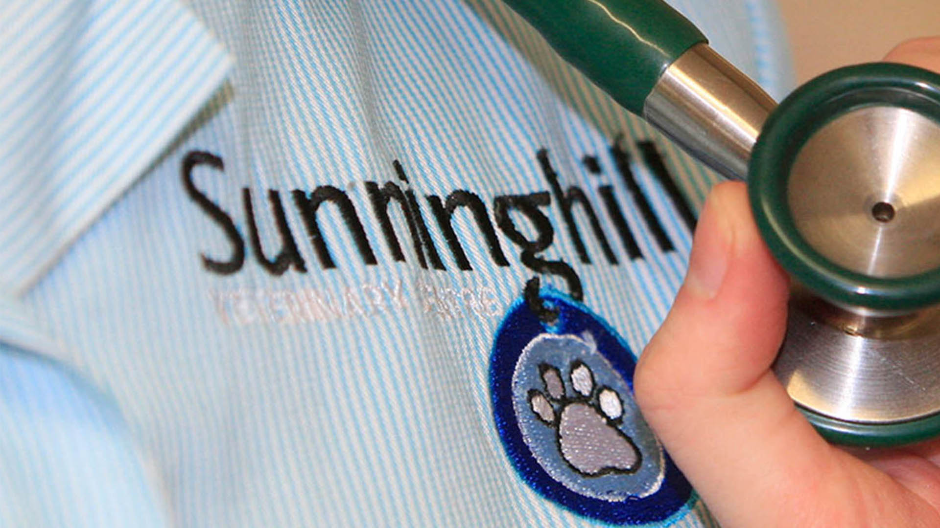 Gold Star Pets Local Vets in Ascot Sunninghill Veterinary Centre