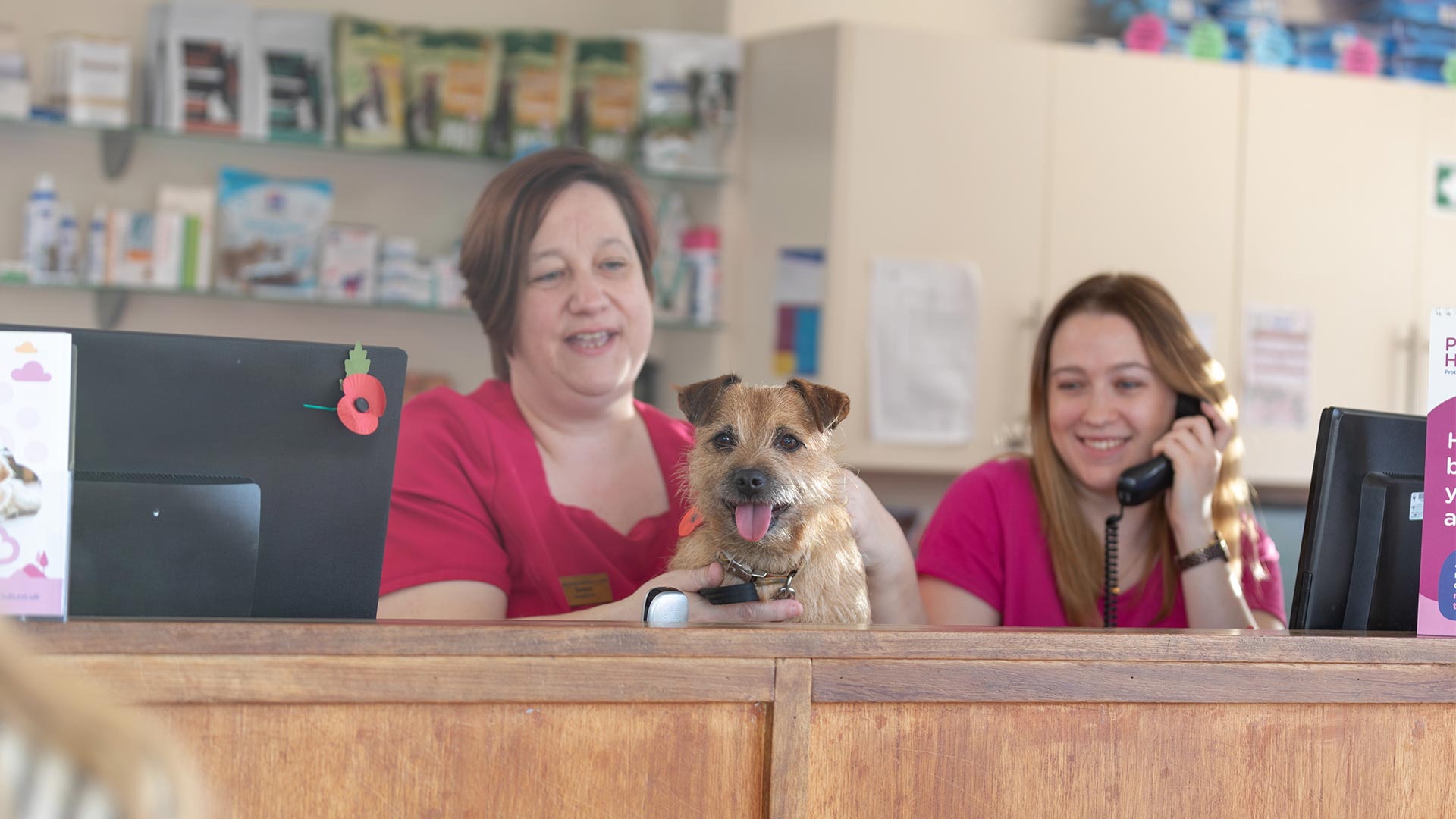 Contact Us Vets in Swadlincote and Melbourne Swadlincote Vets