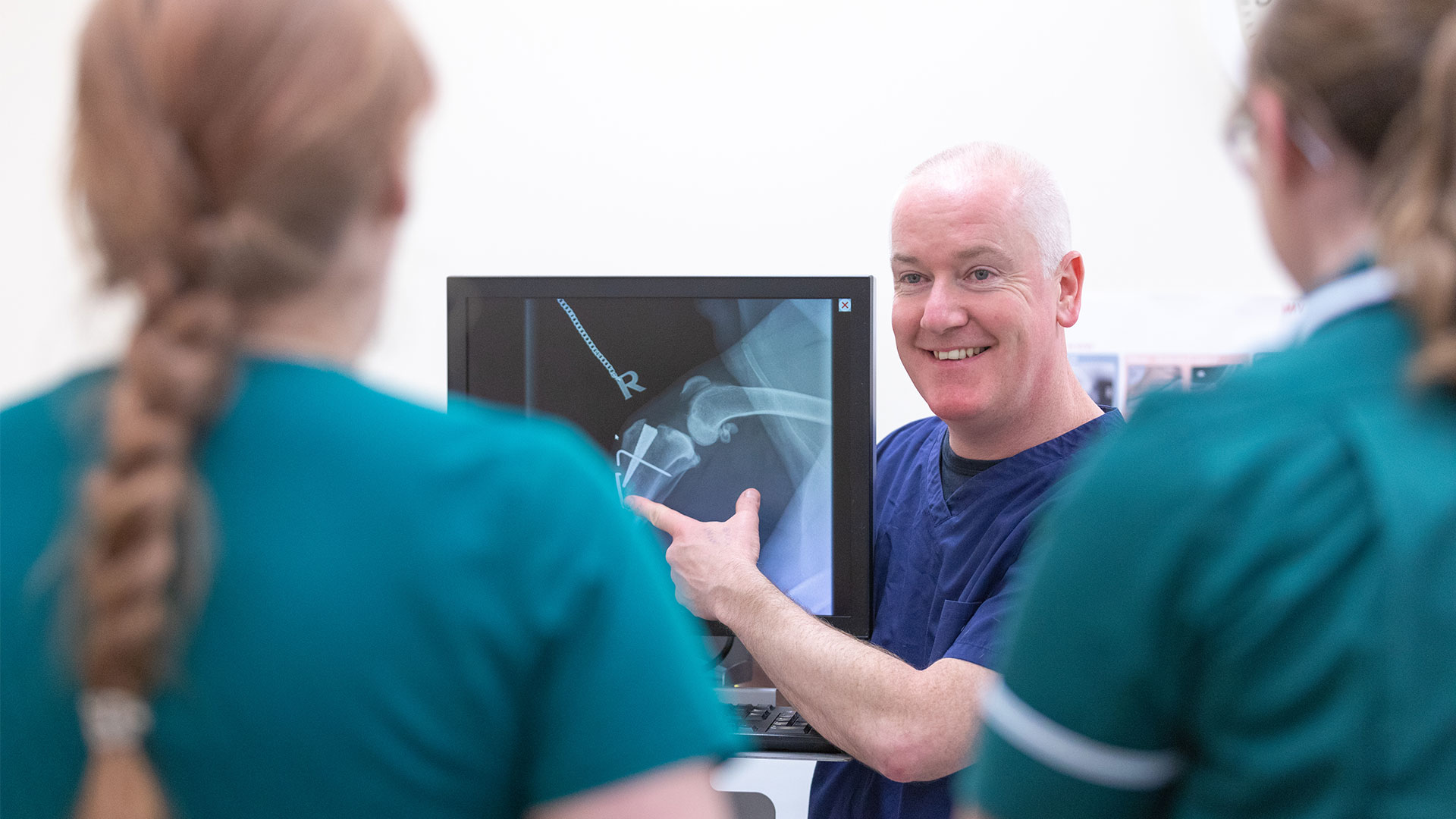 Success Stories Vets in Swadlincote and Melbourne Swadlincote Vets