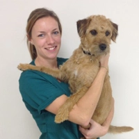 Meet the Team | Local Vets in Swaffham, Norfolk - Swaffham Veterinary ...