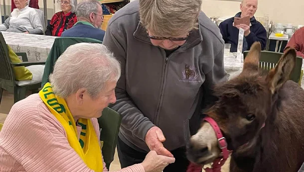 Miniature Donkeys Community Grant