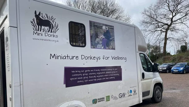 Miniature Donkeys Community Grant