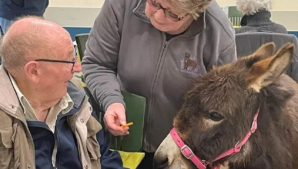 Miniature Donkeys Community Grant