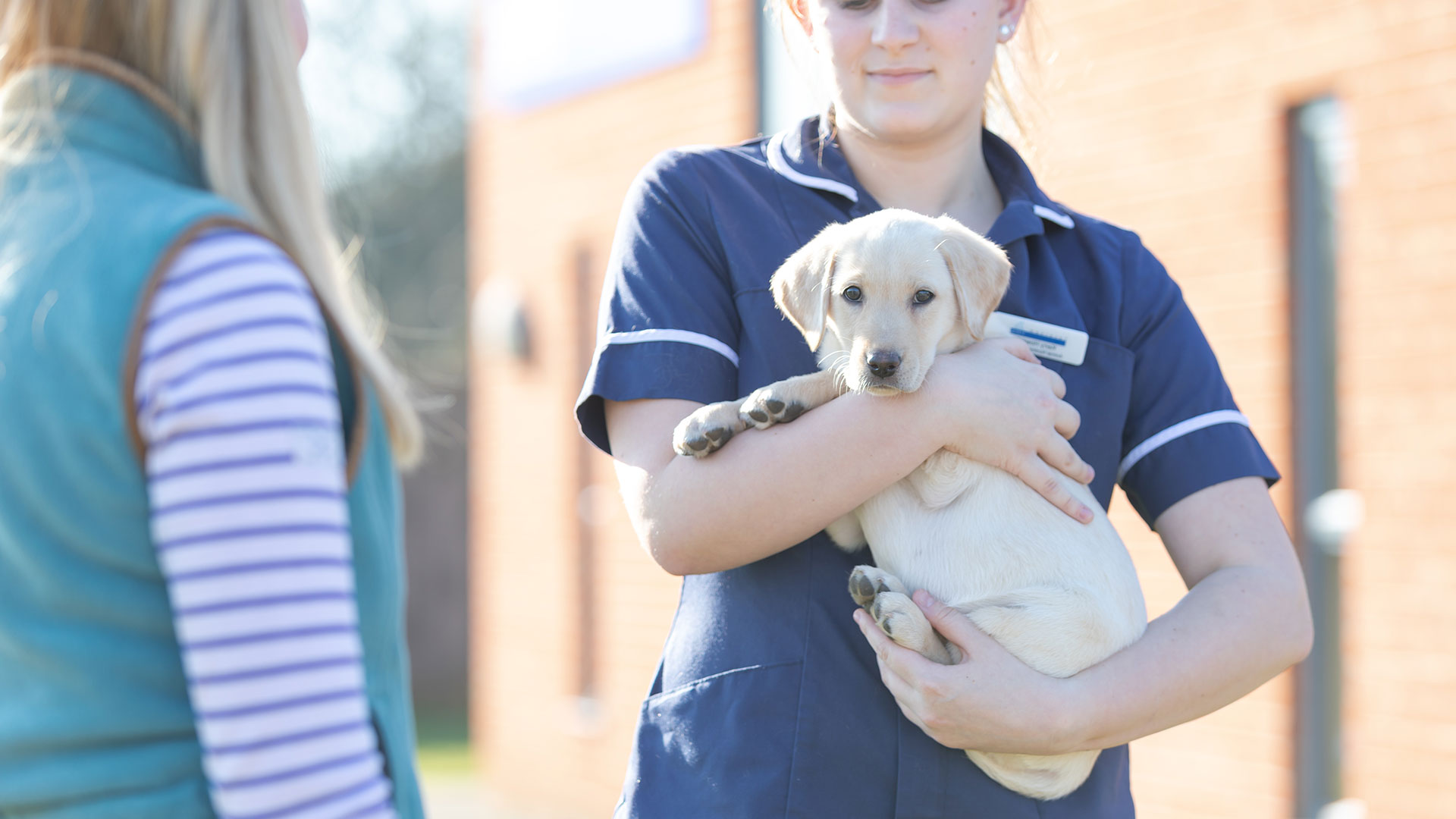 About Taverham Vets Vets in Norwich Taverham Vets