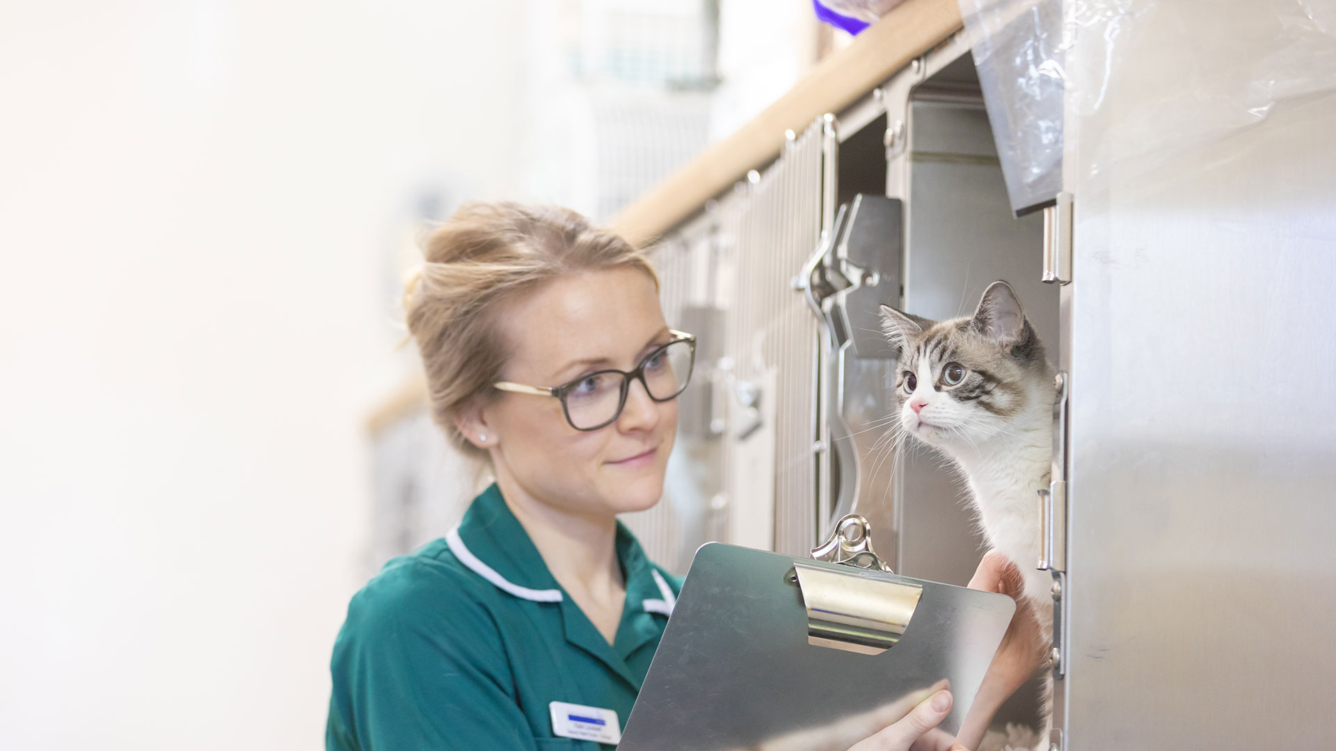 Pet Advice from vets in Norfolk Taverham Vets