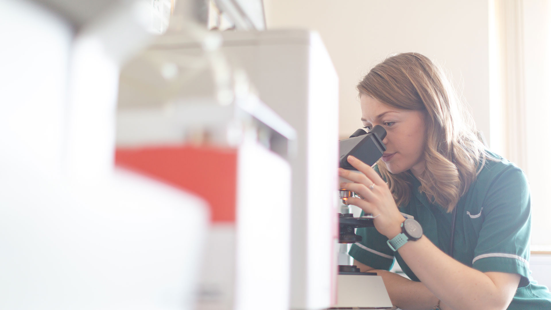 Pet Care Services In Norwich Taverham Vets Taverham Vets