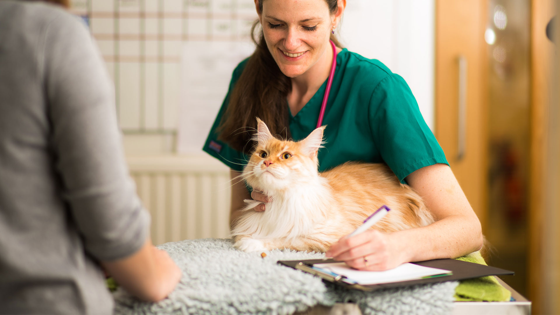 Complaint Form Vets in Glasgow Taylor Vet