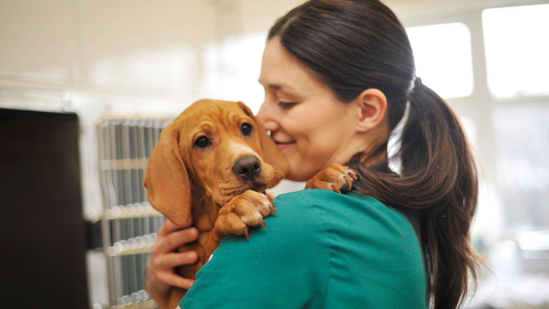 Register your Pet Vets in Glasgow Taylor Vet