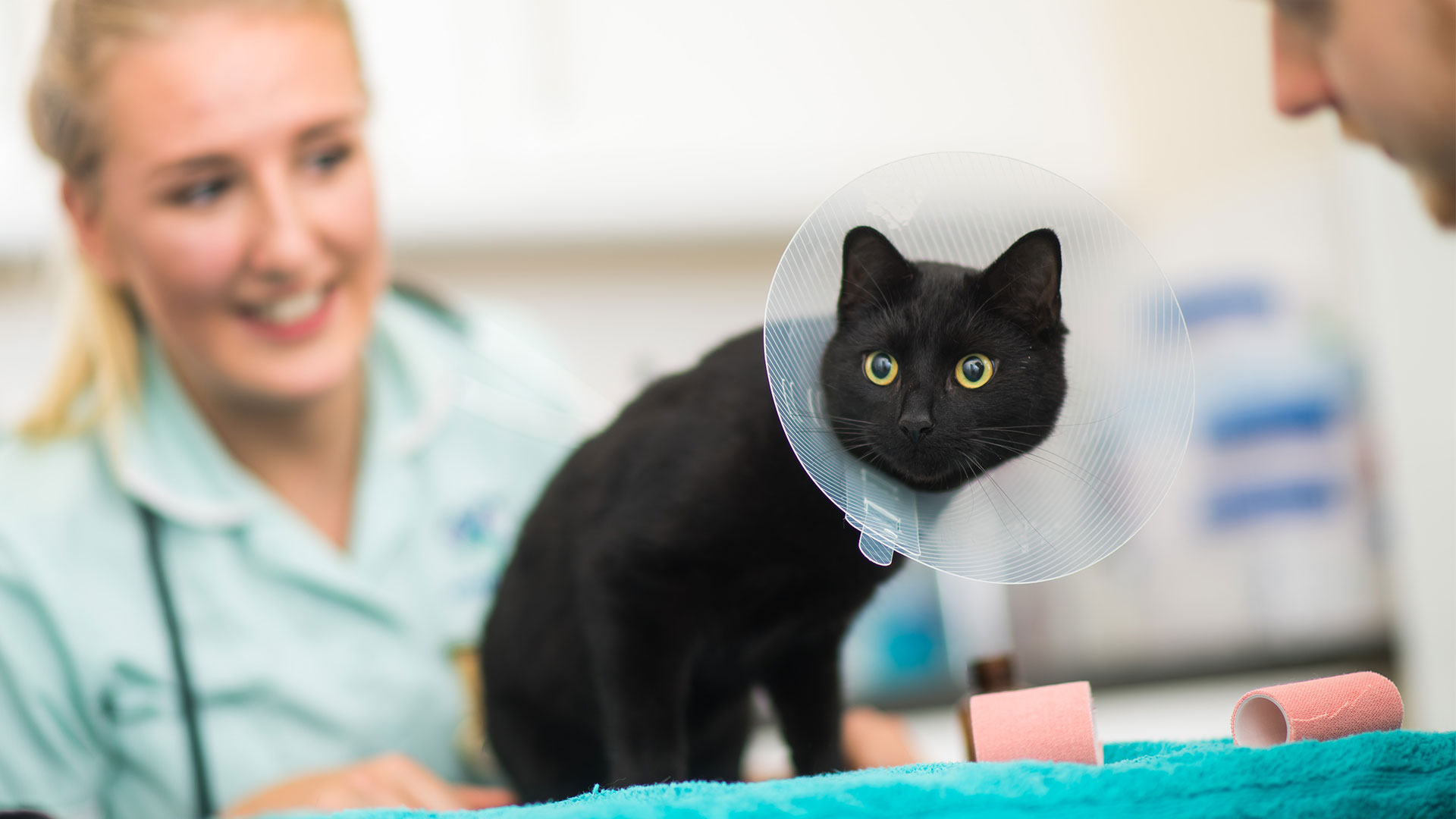 Client Information Gatehouse Vets