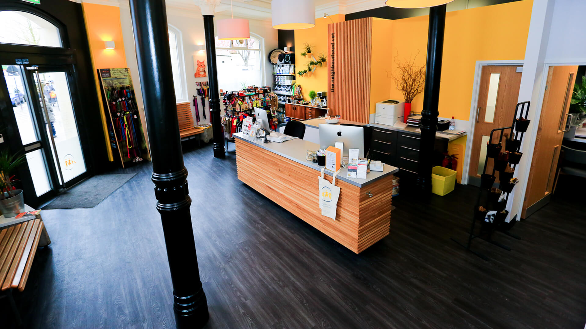 East Dulwich Vet Local Vets in London The Neighbourhood Vet