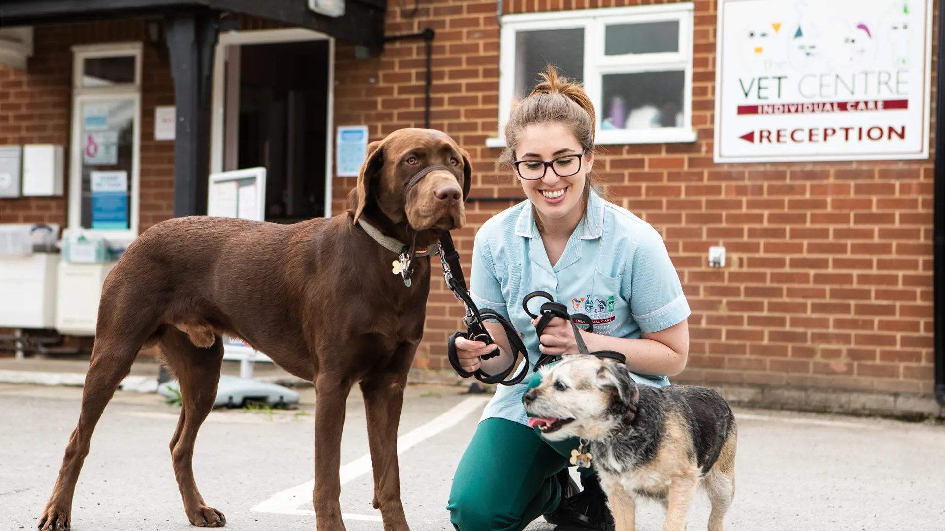 Vets In Buckingham | Dedicated Buckingham Vets - The Vet Centre