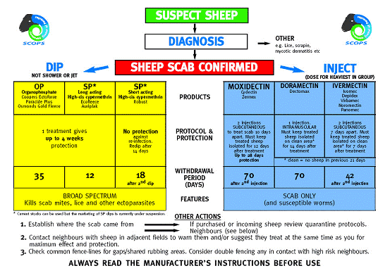 https://WEU-AZ-WEB-CDNEP.azureedge.net/mediacontainer/medialibraries/threeriversvetgroup/images/general/sheep-scab-flow-chart.png