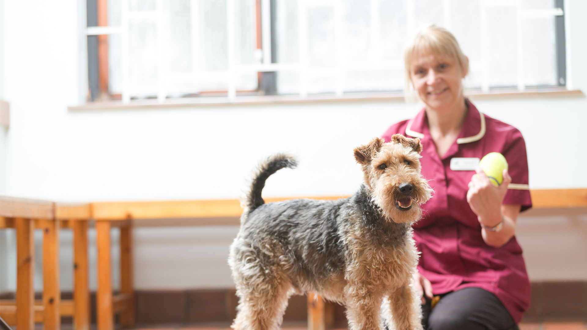 Pet Care Services In Norfolk and Suffolk | Three Rivers Vet Group