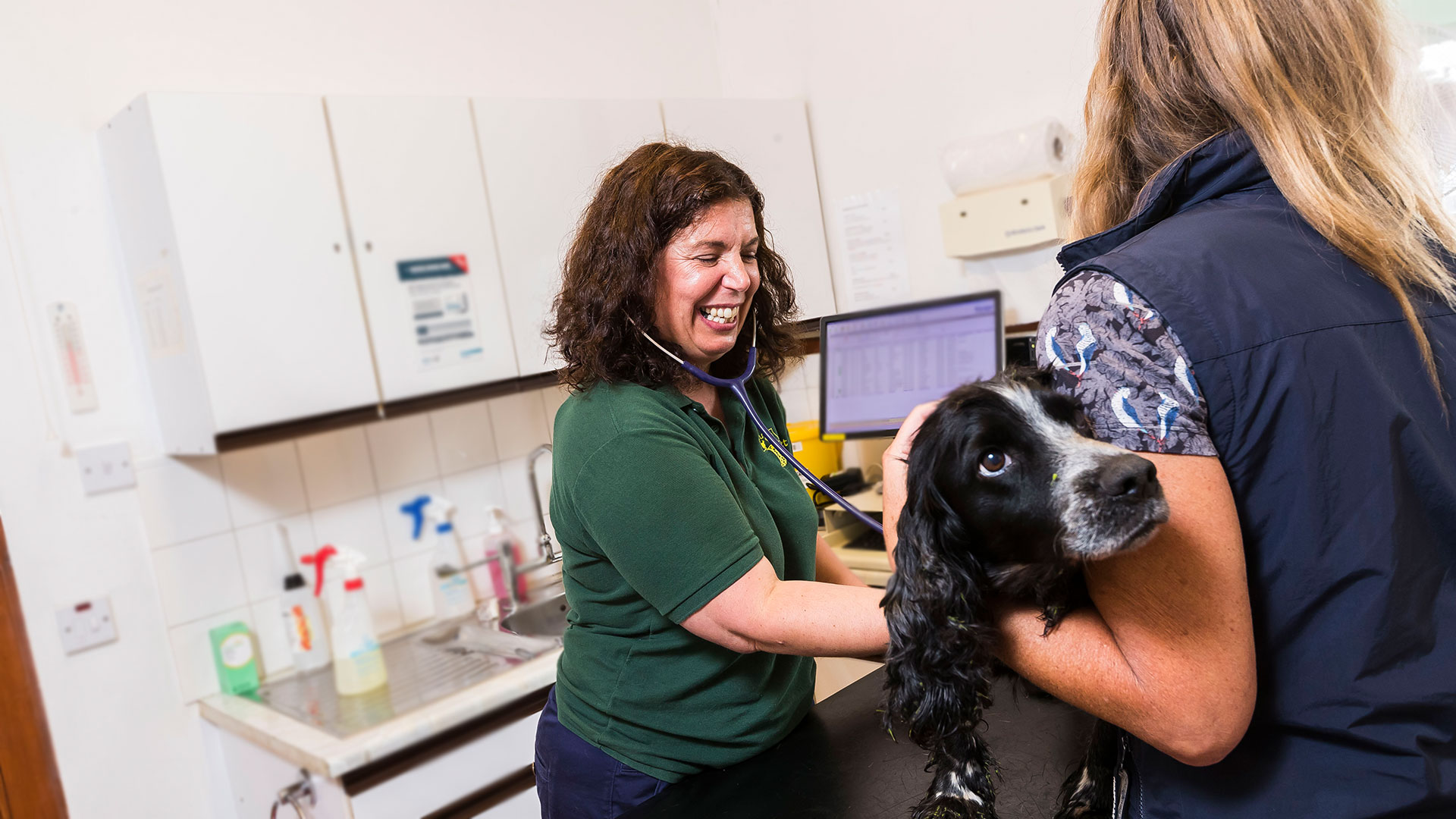 Veterinary Services | Local Vets in Perthshire - Tower Vet