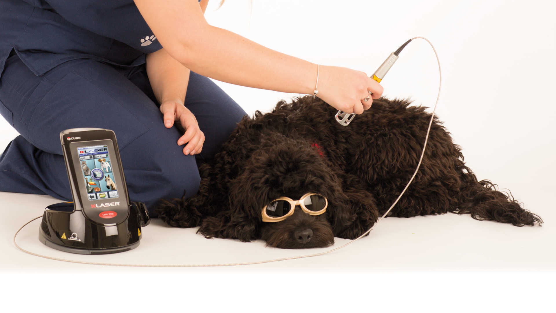 Complementary vet treatments local vets in leeds bradford 