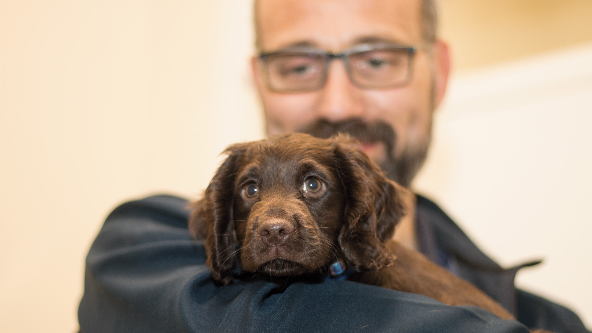 Our Pet Health Clubs | Vets in Leeds & Bradford - Towerwood Vets Our Pet Health Clubs | Vets in Leeds & Bradford - Towerwood Vets