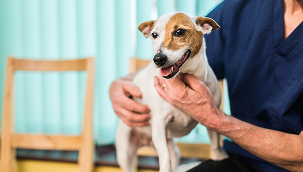 care homes in blackburn lancashire