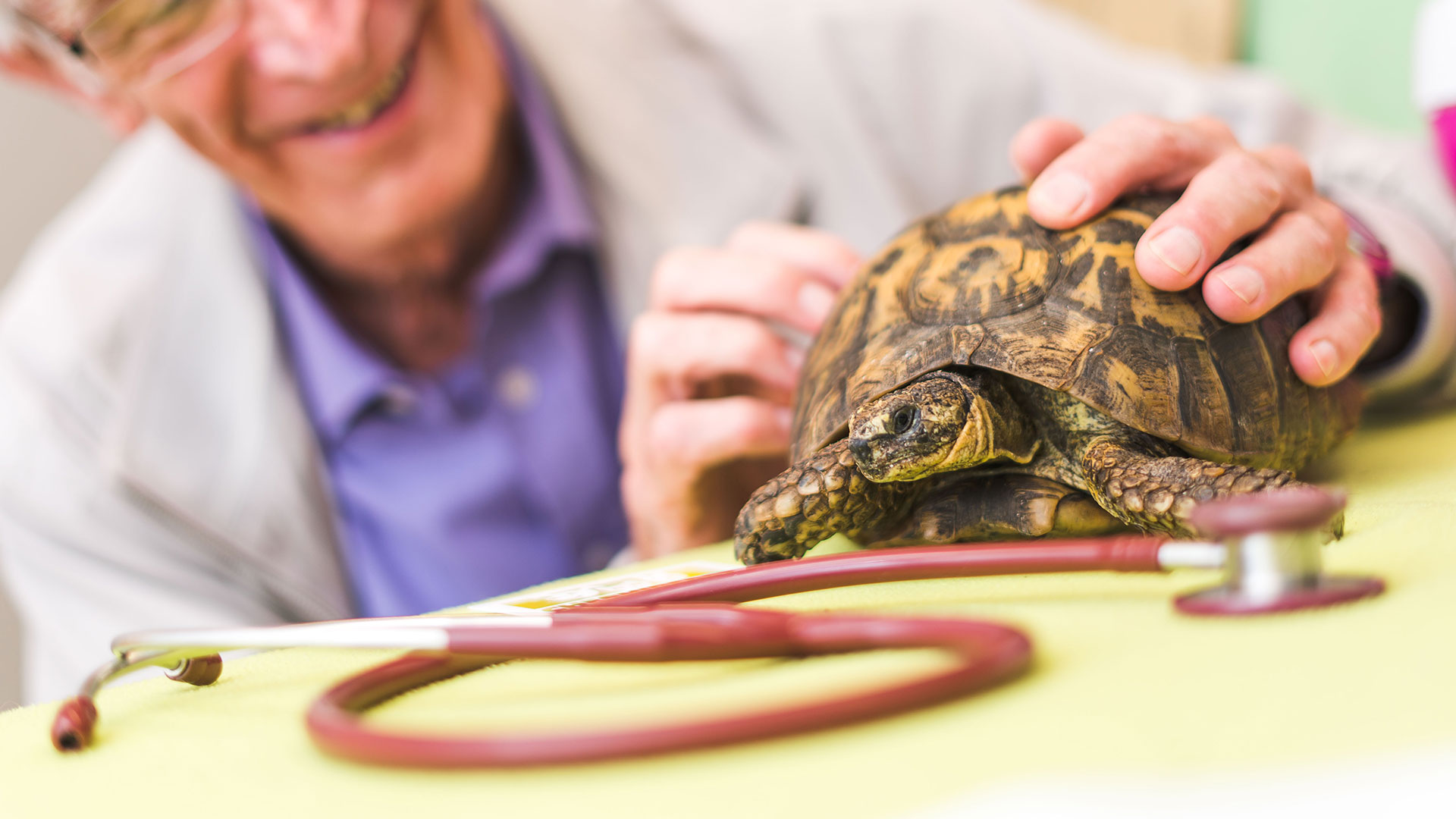 Local Vets in Maidstone Specialist Exotic Vets Trinity Vet Centre