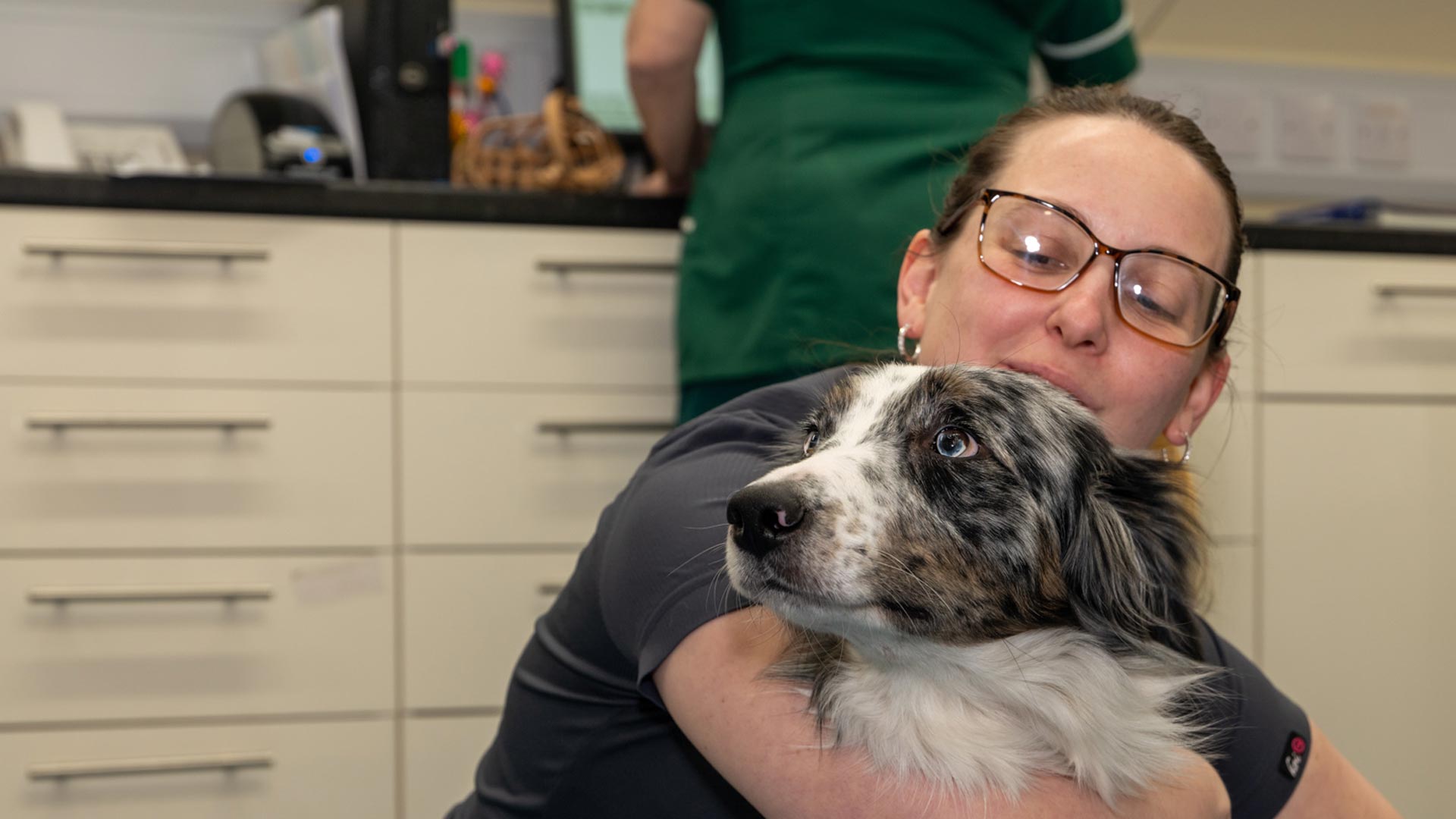 Vets in Upton Affordable Upton Vets Upton Veterinary Centre