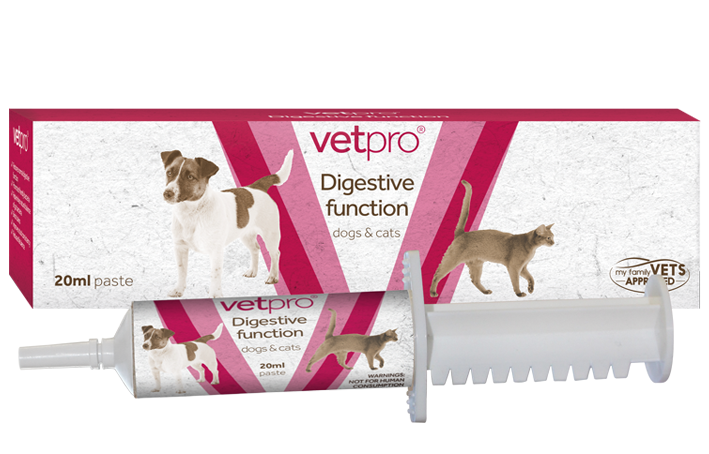 Natural Digestive Function For Pets 