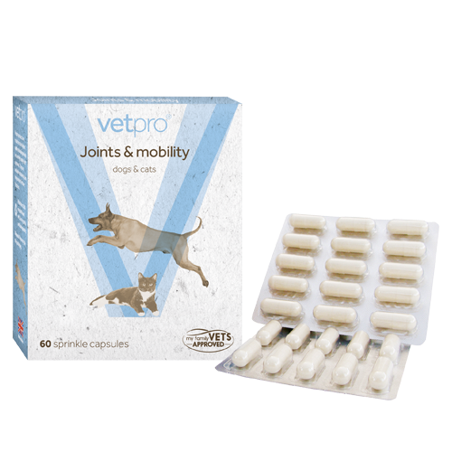 Natural Pet Supplements for Joints and Mobility Vetpro
