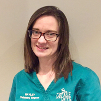Hayley Humphreys - Veterinary Surgeon
