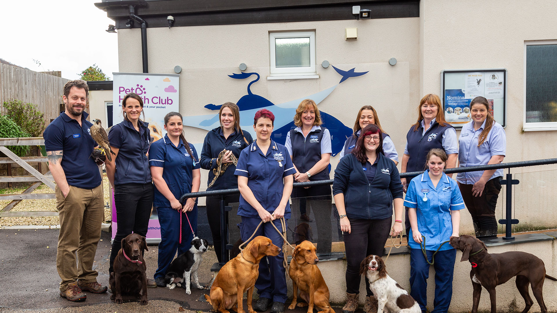 Meet the Team Local Vets in RossonWye Vine Tree Vets