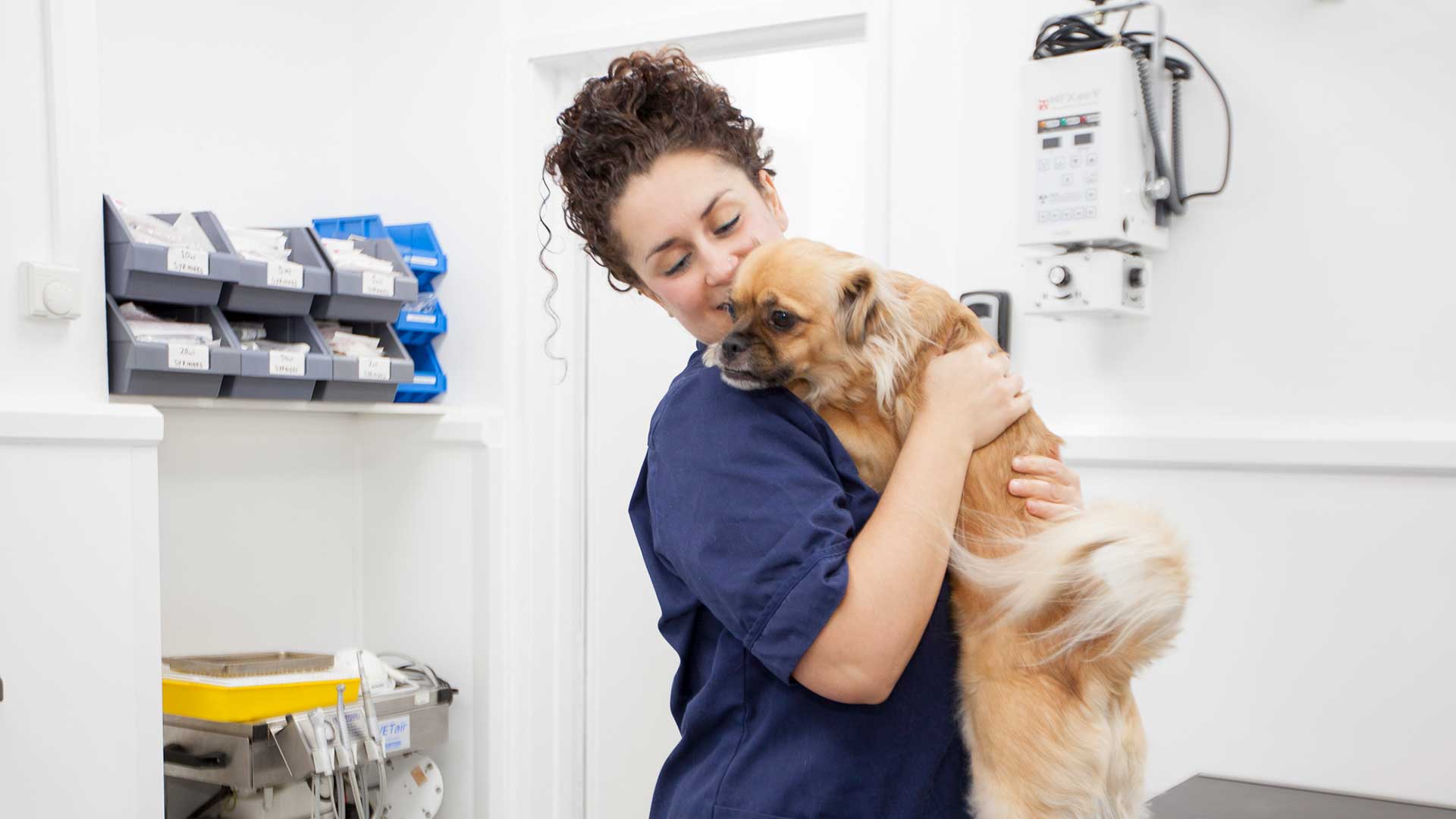 Great Pet Offers from Well House Vets Well House Vets