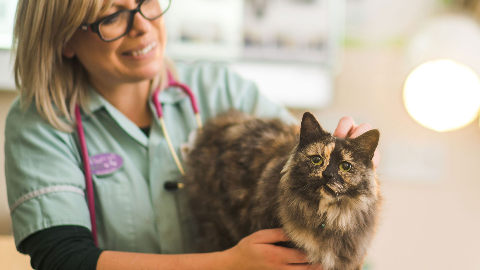 Free Nurse Clinics at Somerset Vet - Well Pets