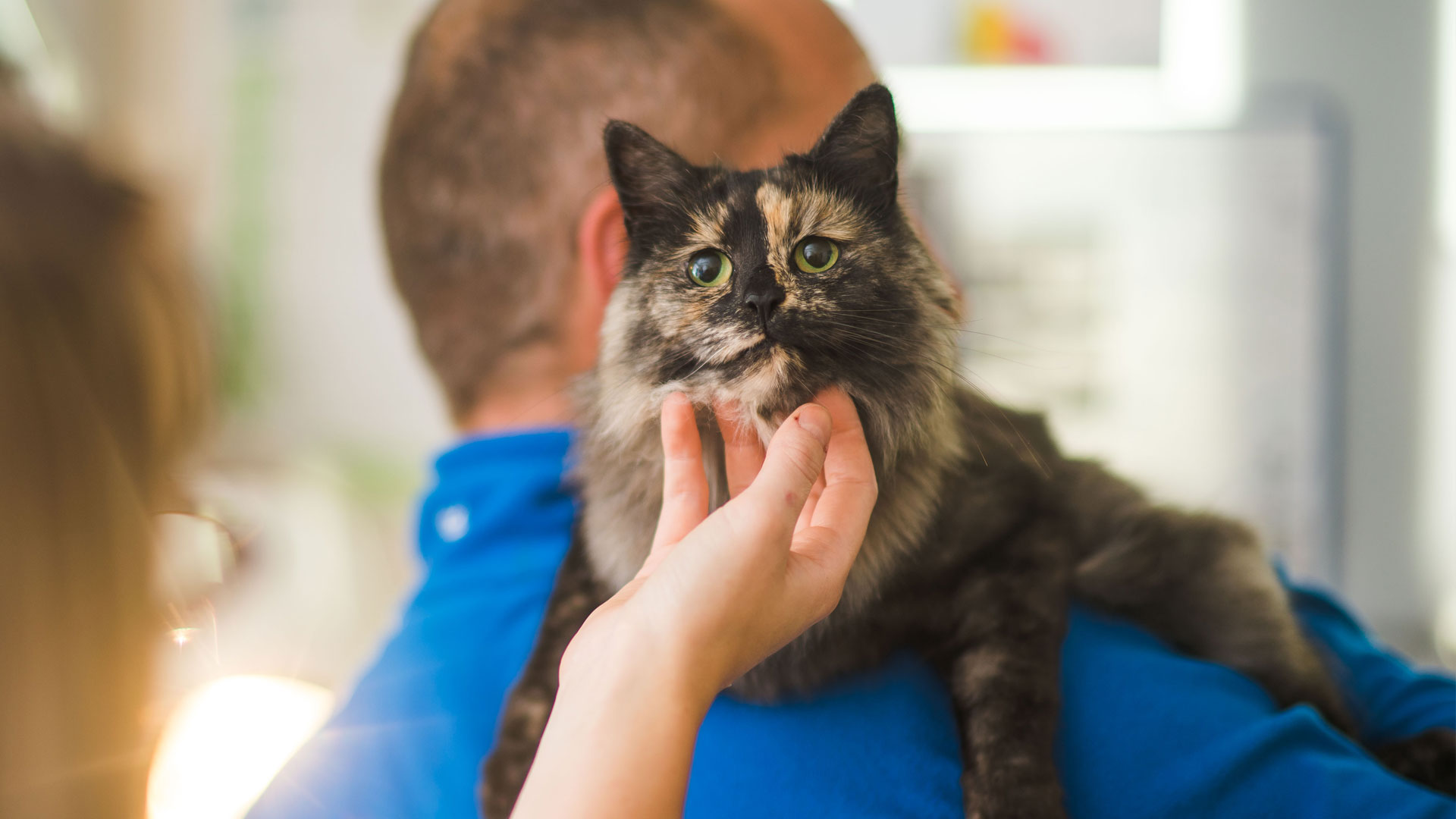 Register Your Pet At Well Pets Well Pets