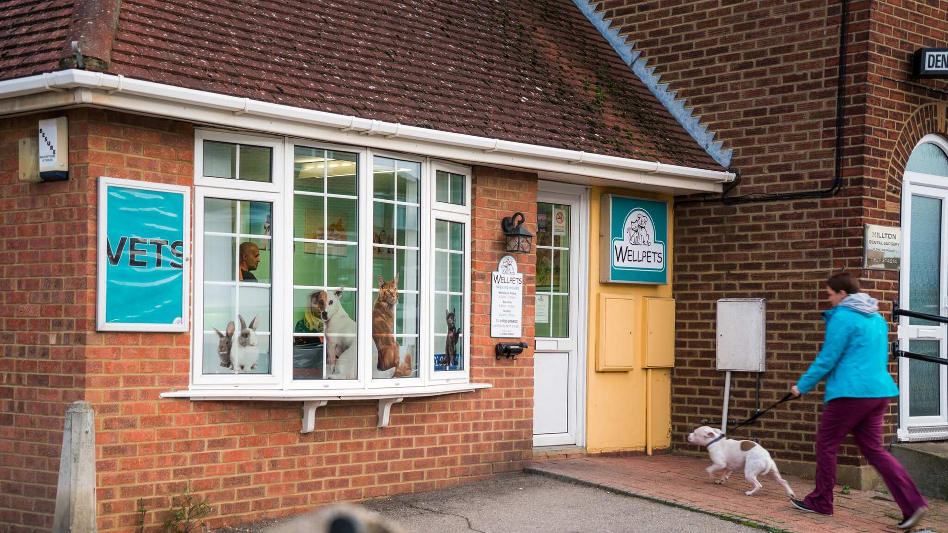 Wellpets Minster Local Vet in Kent Wellpets Kent