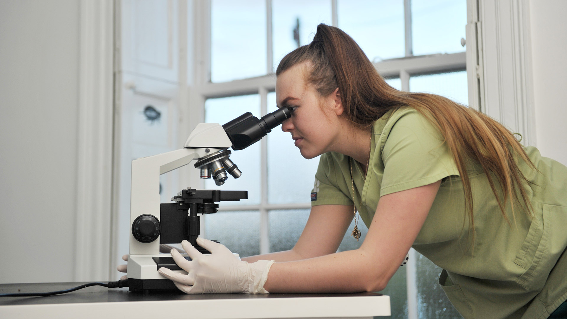 Veterinary Services Local Vets in Boston Spa and Garforth Westwood Vets