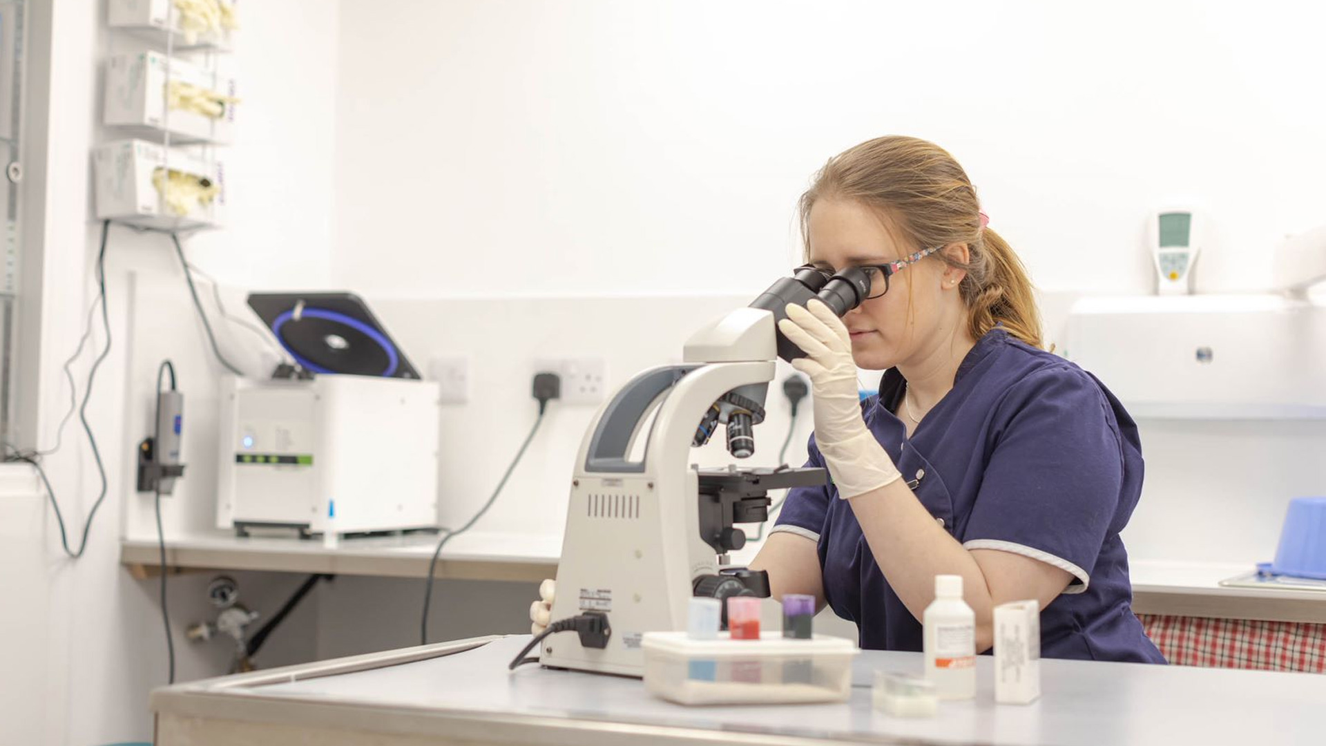 Veterinary Dermatology Local Vets in Buckinghamshire Wheelhouse Vet