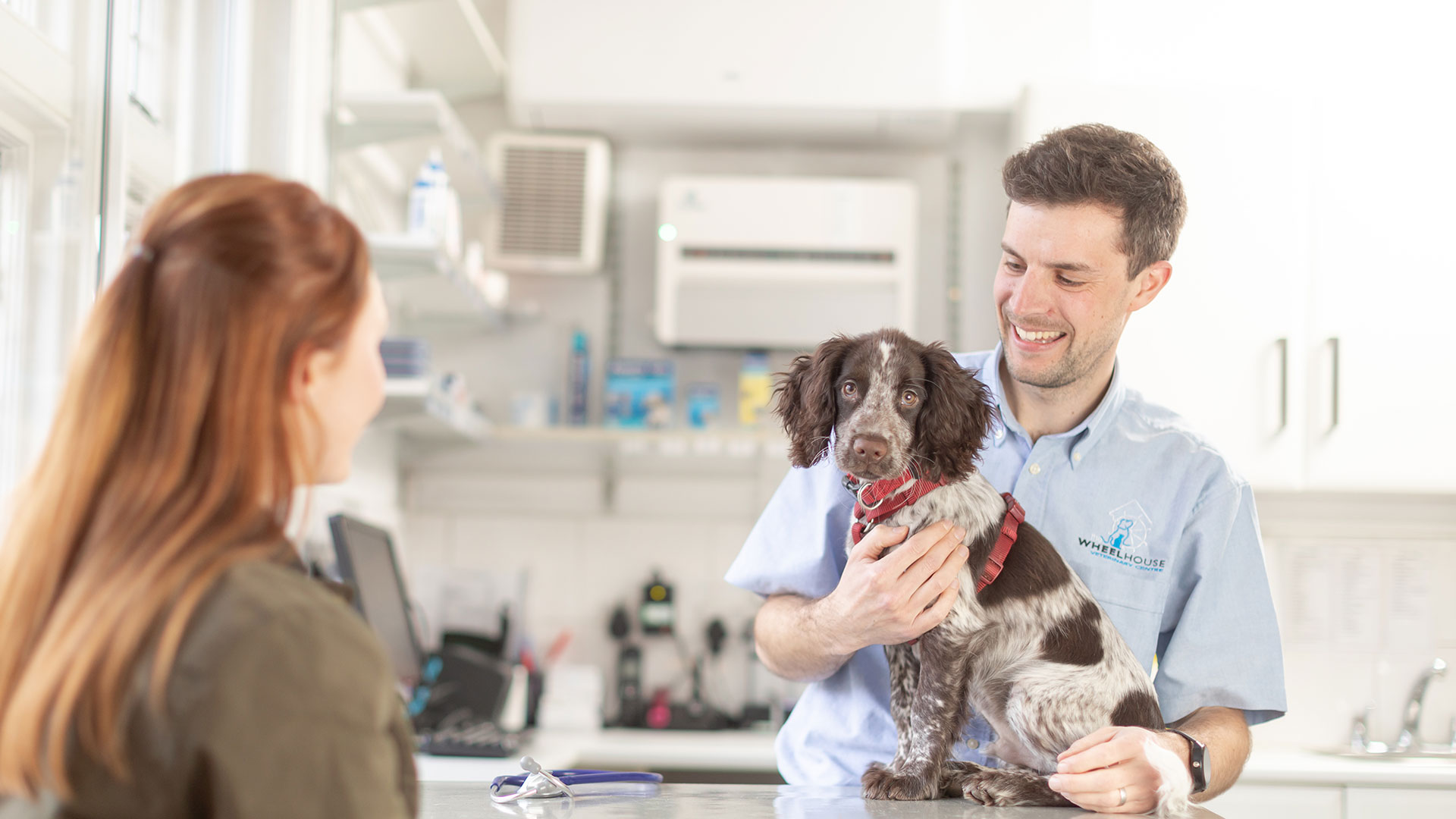 Vets in Bucks | Buckinghamshire Vets - Wheelhouse Vet Centre