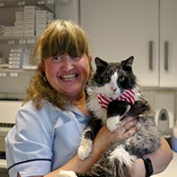 Meet the Team | Your Local Bucks Vets - Wheelhouse Vet Centre