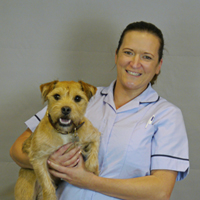 Meet the Team | Local Vets in Buckinghamshire - Wheelhouse Vet Centre