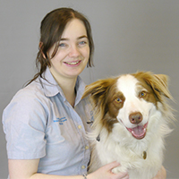 Veterinary Cardiology | Local Vets in Buckinghamshire - Wheelhouse Vet ...