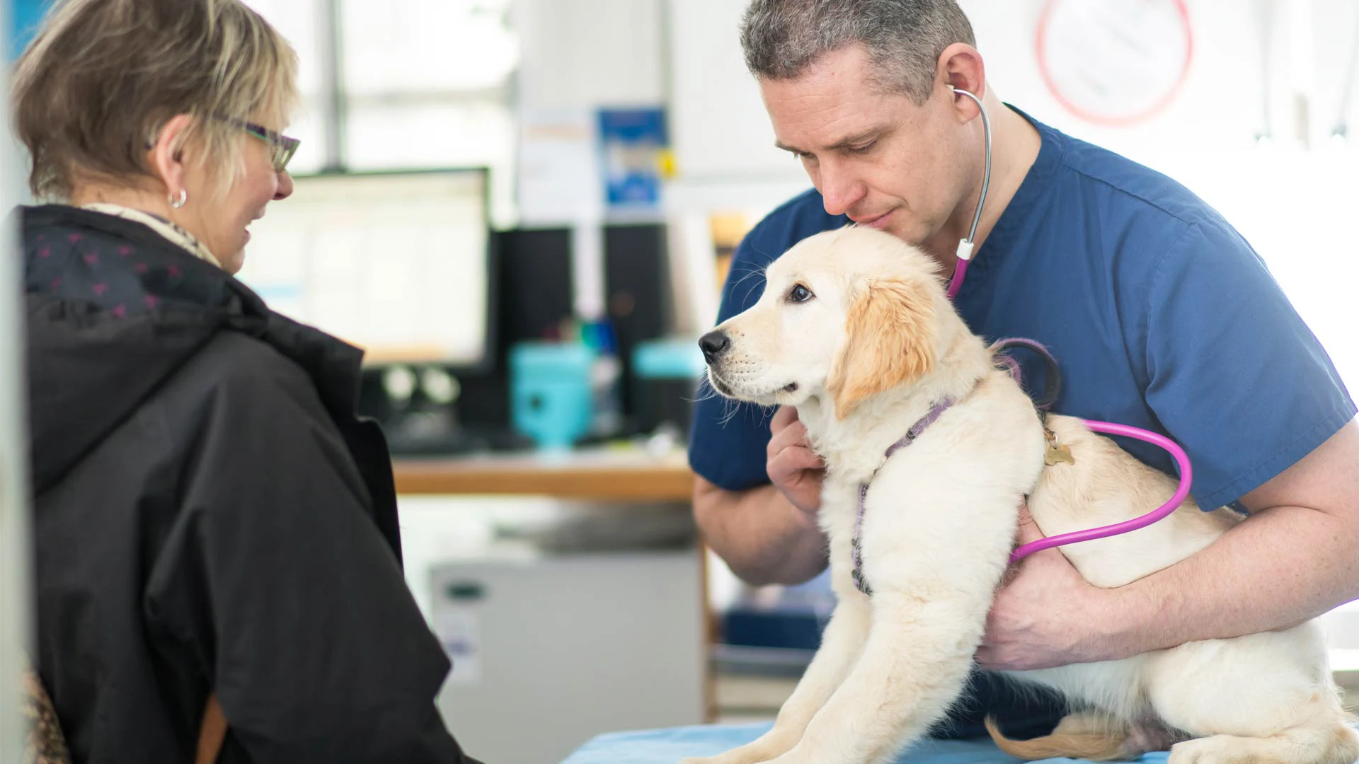 white cross vets home visit