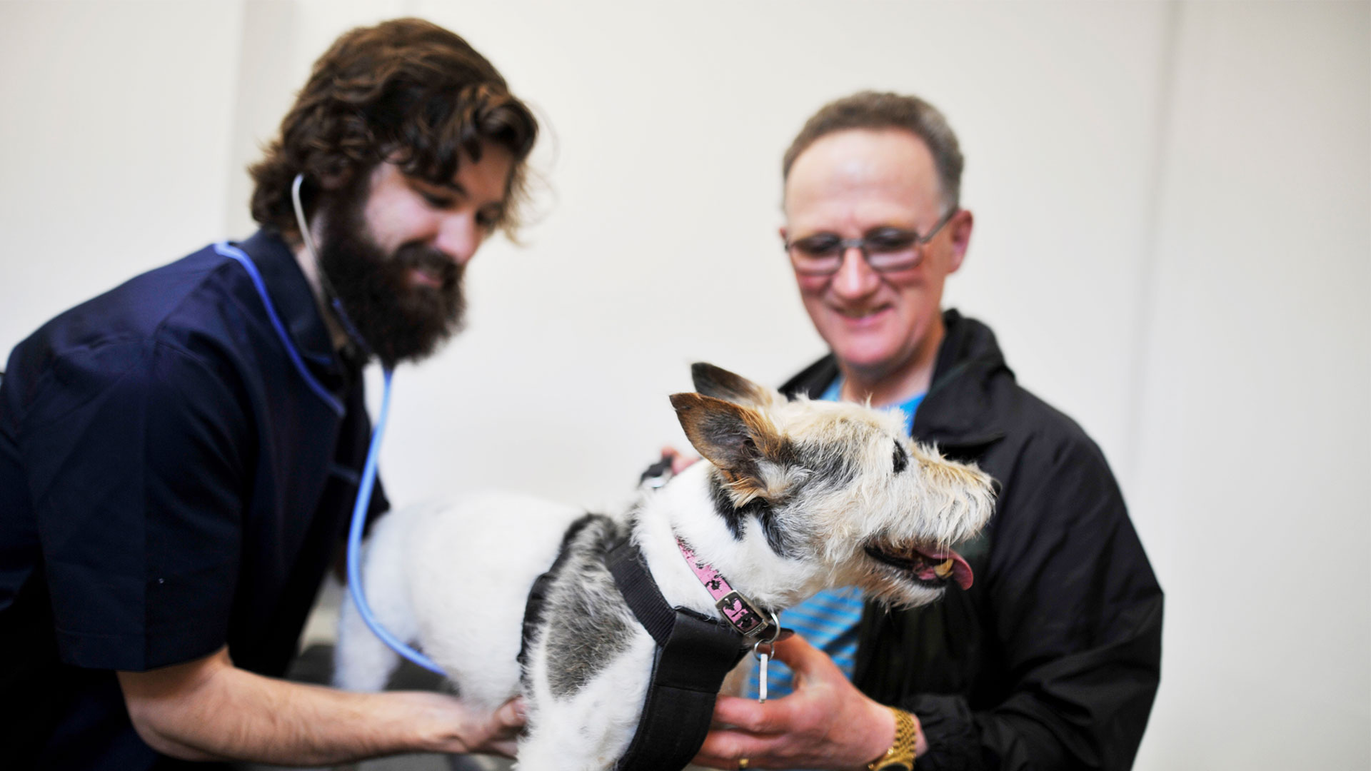 Prices Sheriff Highway Vets Sheriff Highway Vets