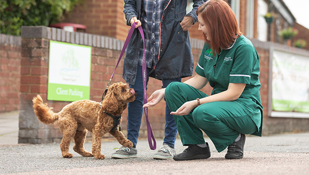 Local Vet Services in Newport Pagnell and Olney - Willow Veterinary Centres