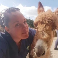 Kayleigh Warren - Equine Veterinary Nurse