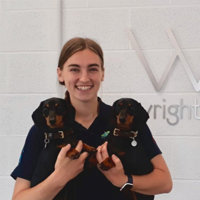 Hanja Dickinson - Veterinary Surgeon