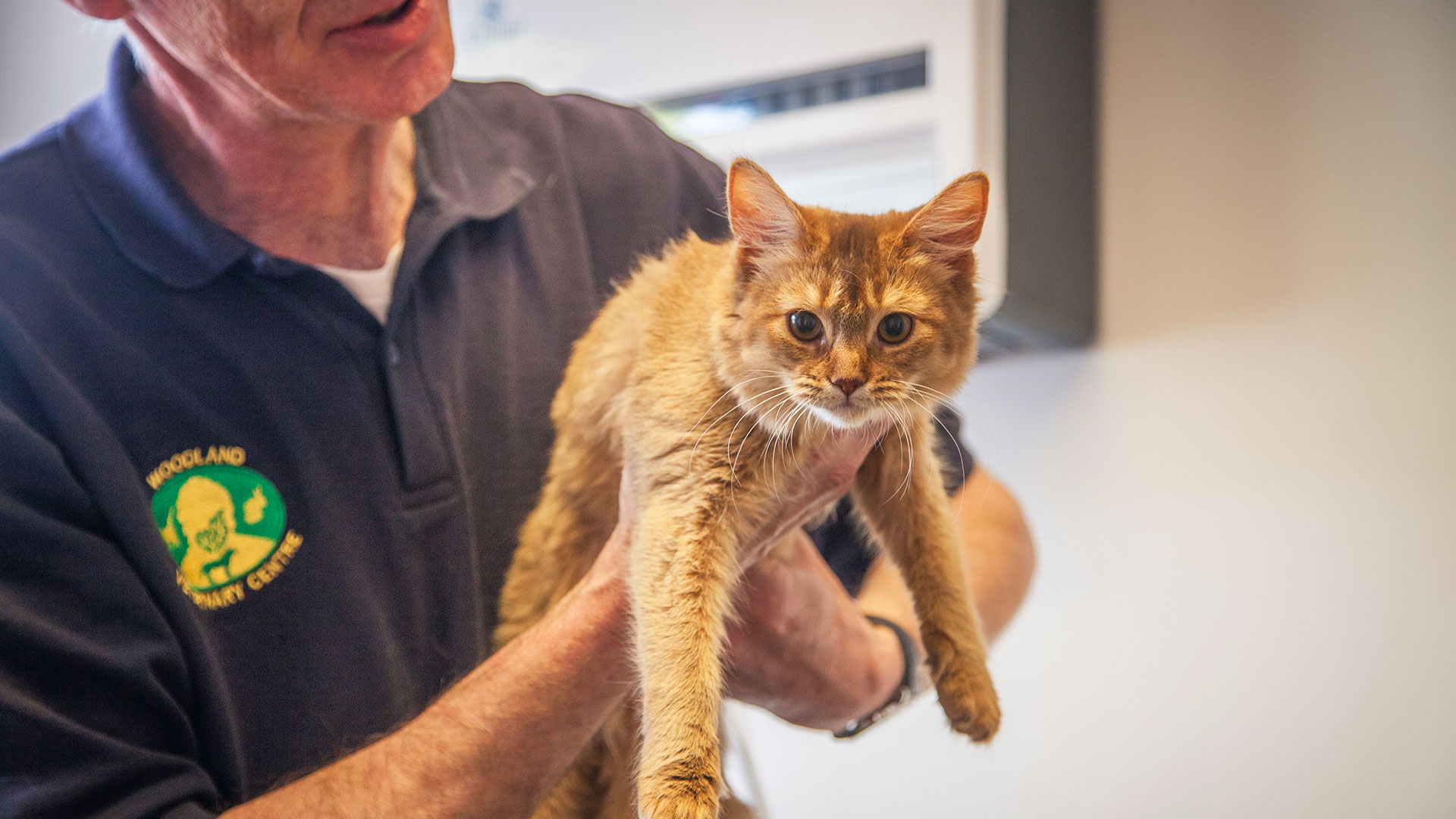 Register your Pet Woodland Veterinary Centre, your local vets in