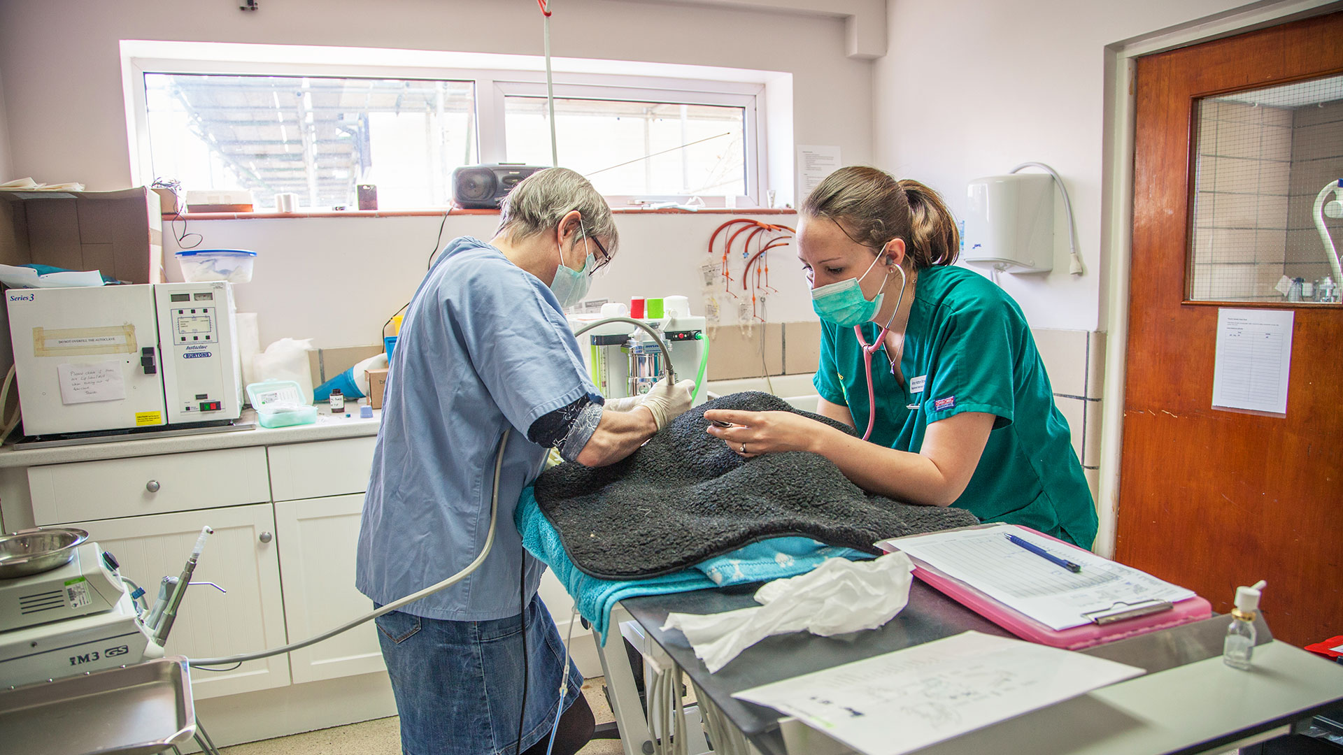 Operations | Health Care Info from Woodland Veterinary Centre ...