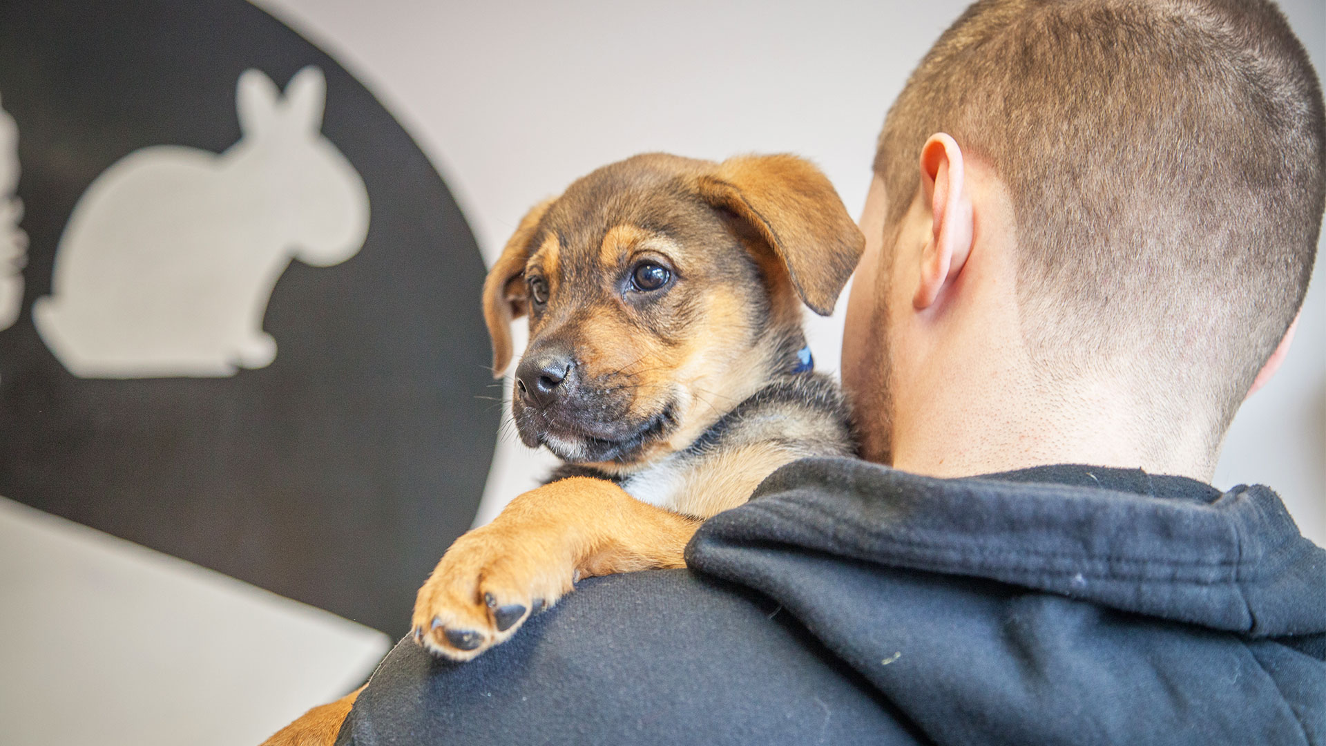 Puppy SpeciesSpecific Information from Woodland Veterinary Centre