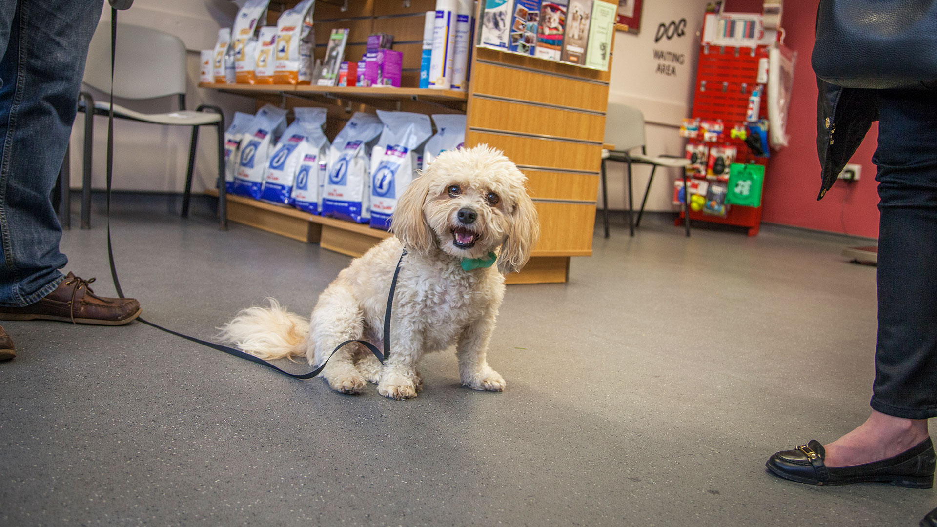 Diagnostic Facilities Services at Woodland Veterinary Centre How