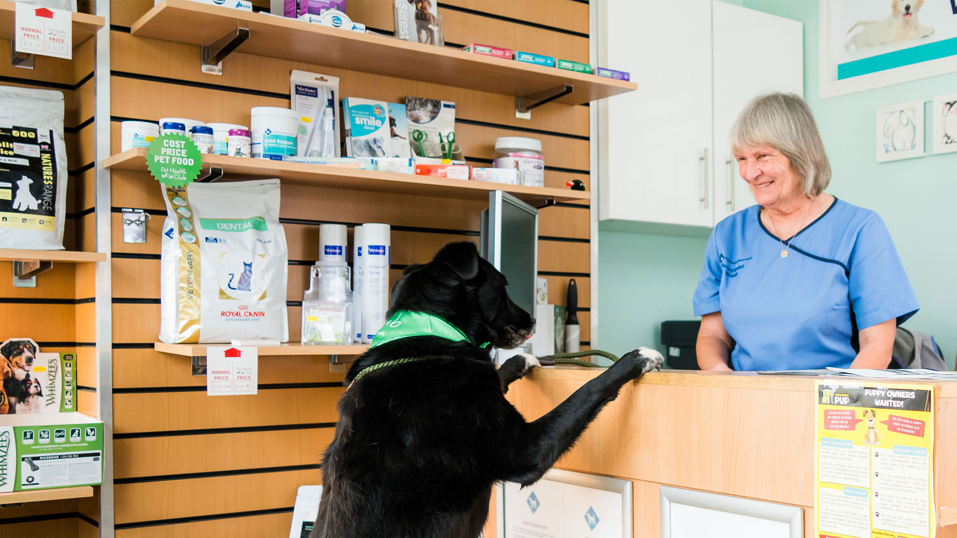 Order Medication Zetland Vets